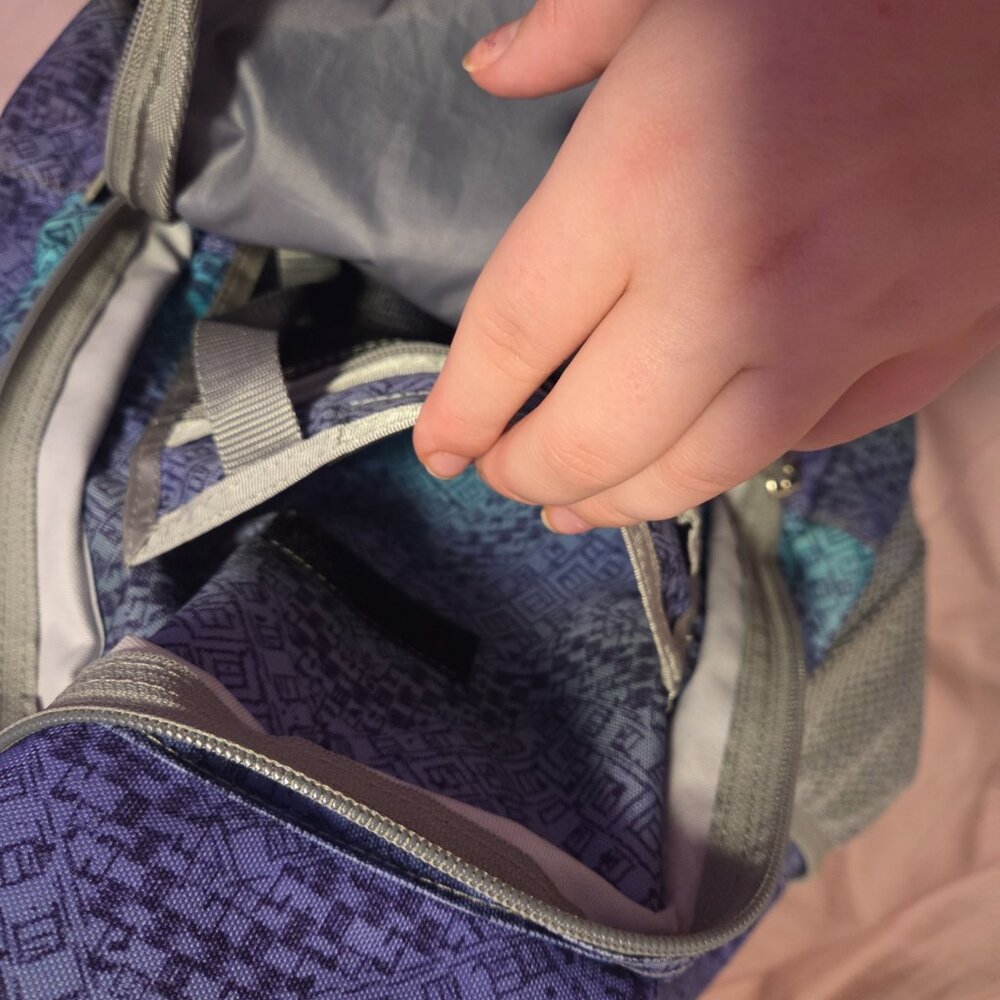 L.Lbean backpack - image 4